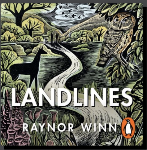 Colour print (lino or wood cut) depicting a landscape featuring a deer, owl, flowers, trees and two people on a path in the distance. Title: Landlines 
Author: Raynor Winn