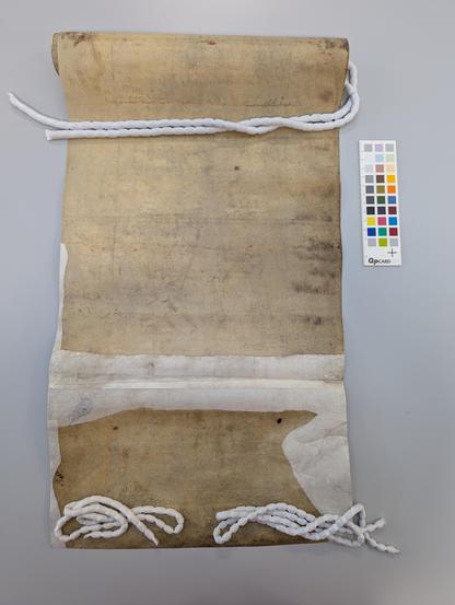 The back side of two membranes of parchment with heavy conservation treatment. The column of text along the right side is iron gall ink strike through 